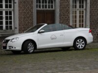 Bloesemrit 34