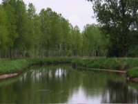 Bloesemrit 46