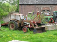 Bloesemrit 86