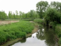 Bloesemrit 87