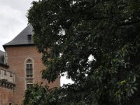 CabrioFun Pajottenland 066