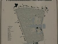 Sterrebos 004