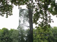 Sterrebos 016