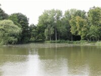 Sterrebos 034