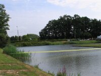 Sterrebos 037