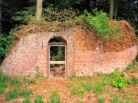 Sterrebos 054