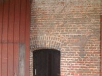 Sterrebos 099