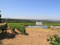 Poblet 007