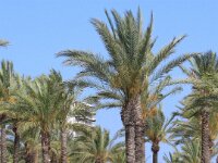 Salou 042