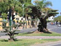 Salou 060