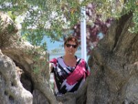 Salou 123