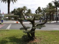 Salou 169