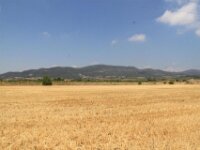 Santes Creus en Poblet - De rit 034