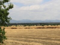 Santes Creus en Poblet - De rit 037