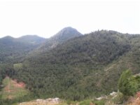 Santes Creus en Poblet - De rit 053