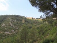 Santes Creus en Poblet - De rit 054