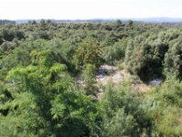 Santes Creus en Poblet - De rit 065
