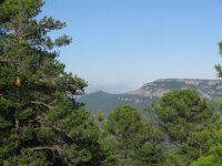 Santes Creus en Poblet - De rit 070