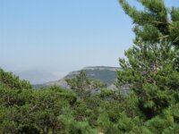 Santes Creus en Poblet - De rit 073