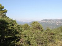 Santes Creus en Poblet - De rit 076