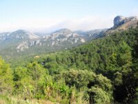 Santes Creus en Poblet - De rit 078