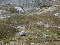Picos de Europa 040