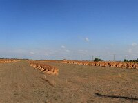 IMG 4715 stitch3