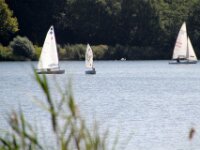 IMG 4469