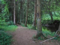 IMG 7870