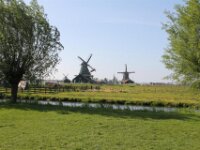 IMG 0891