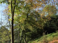 Chateau de Vignee - Herfst 012