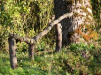 Chateau de Vignee - Herfst 013