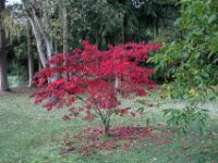 Chateau de Vignee - Herfst 021