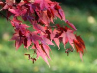 Chateau de Vignee - Herfst 024
