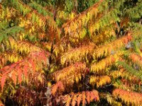 Chateau de Vignee - Herfst 025