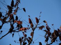 Chateau de Vignee - Herfst 027