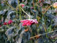 Chateau de Vignee - Herfst 045