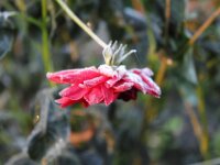 Chateau de Vignee - Herfst 046