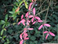 Chateau de Vignee - Herfst 056
