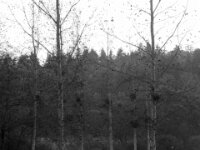 Chateau de Vignee - Herfst 073