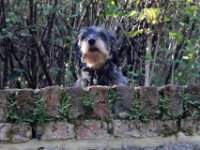 Villers sur Lesse 062