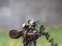 IMG 0719