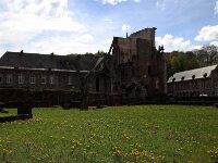IMG 9241