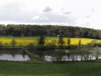 IMG 9273