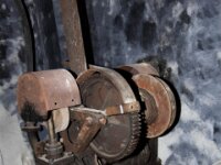 IMG 7431