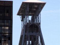 IMG 7484