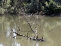 IMG 7728 stitch