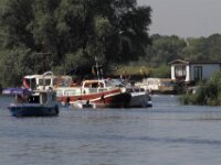 IMG 7730