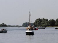 IMG 7737