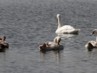IMG 7799